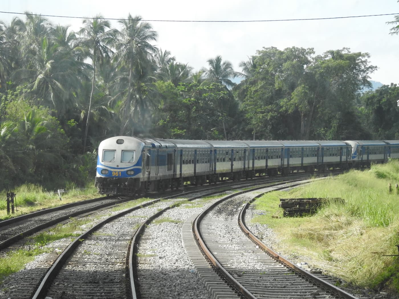 A blue Sri Lanka Railways train on a curving track through palm trees