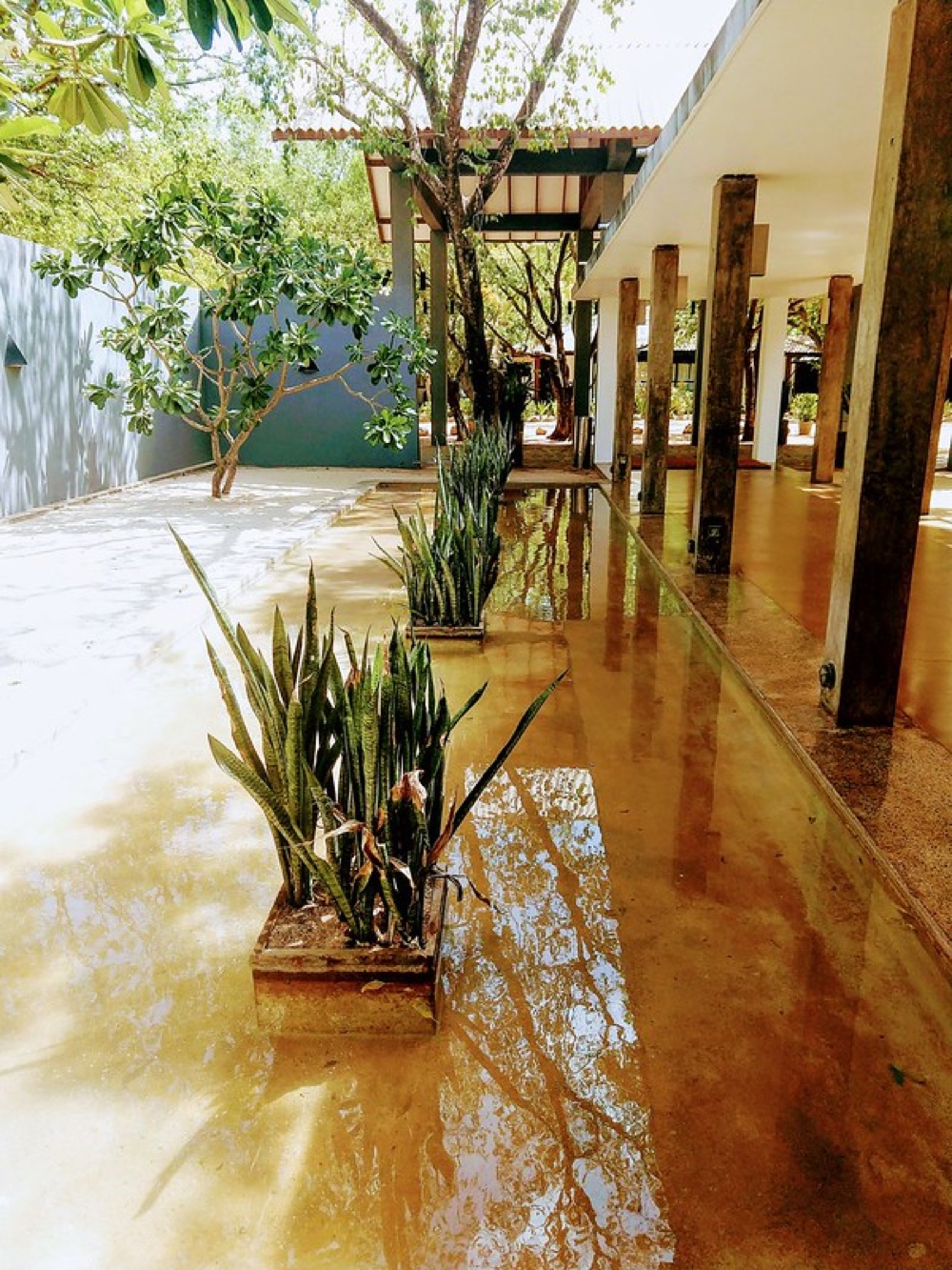 Luxury Eco-Resort Sigiriya